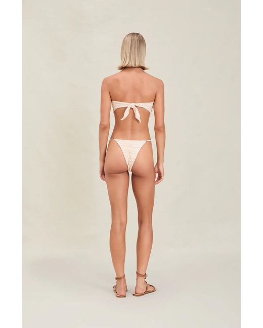 Devon Windsor Multicolor Anto Top
