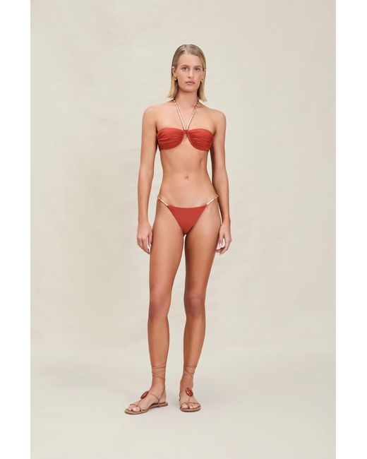 Devon Windsor Red Giana Top
