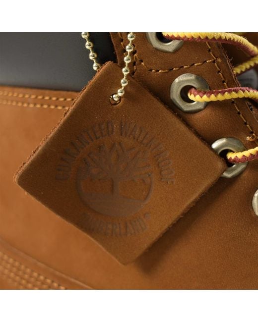 Timberland Brown 6 Inch Premium Boot for men