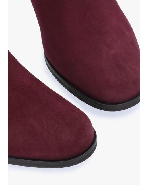 Daniel Purple Penelope Burgundy Suede Gold Trim Heeled Ankle Boots