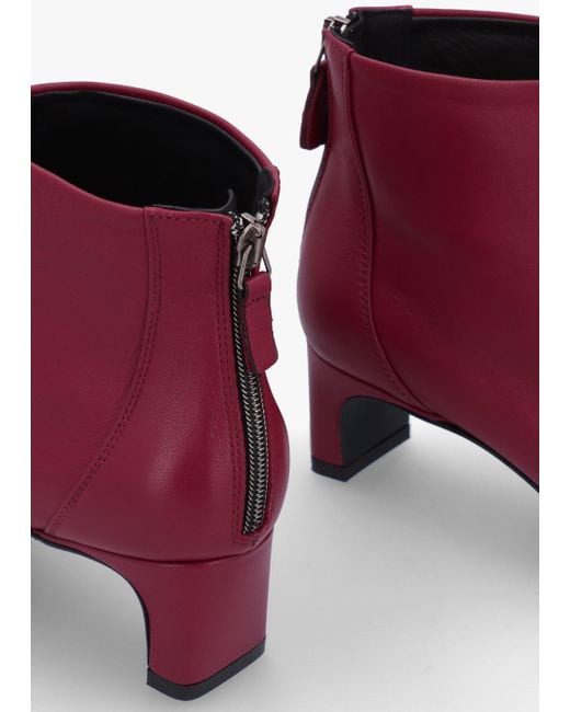 Daniel Red Sedda Burgundy Leather Low Heel Ankle Boots