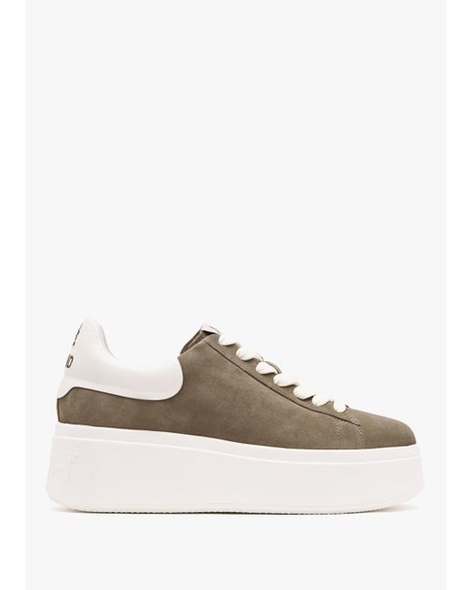 Ash Moby Be Kind Mud Off White Chrome Free Suede Trainers in Brown
