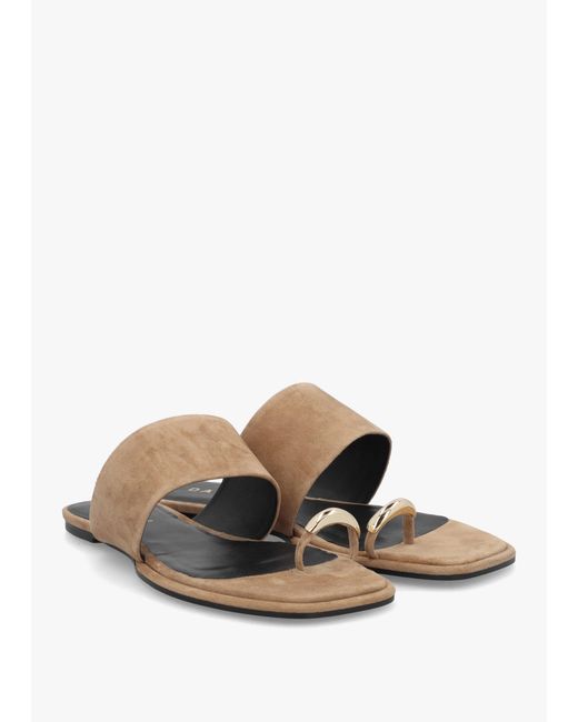 Daniel White Eloop Ring Toe Post Flat Sandals