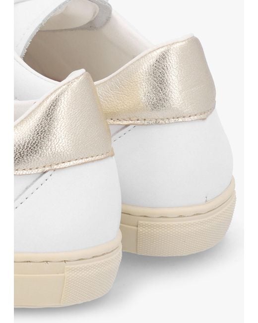 Daniel Thamby White Leather Low Profile Trainers