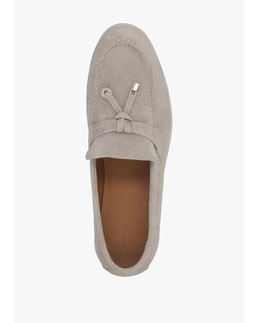 Daniel White Siani Grey Suede Loafers