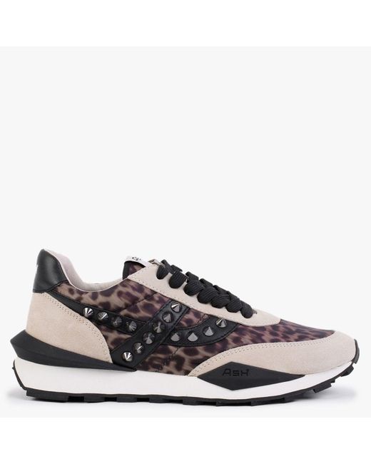 Ash Natural Spider 168 Studs Beige Leopard Eco Trainers