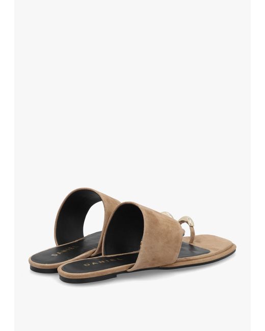 Daniel White Eloop Ring Toe Post Flat Sandals
