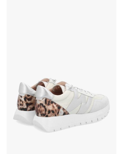 Wonders White Odisei Leopard Metallic Suede & Nylon Trainers