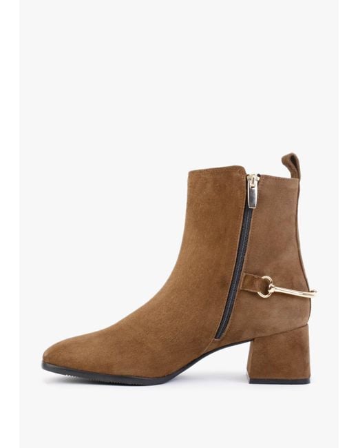 Daniel Evalena Brown Suede Block Heel Ankle Boots