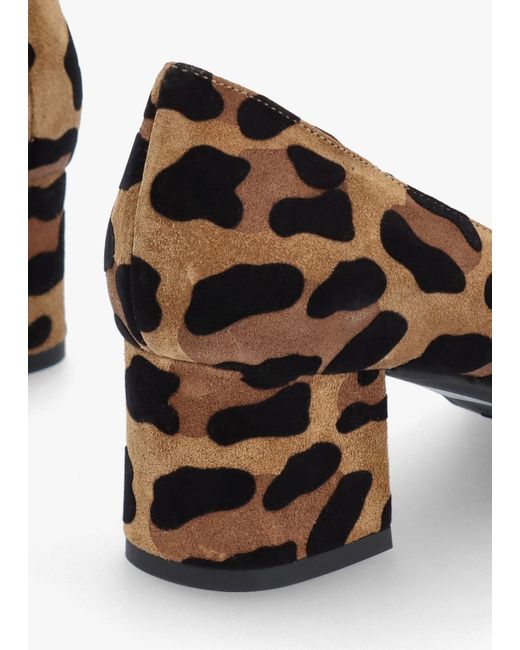 Luca Grossi Brown Leopard Suede Pointed Toe Block Heel Court Shoes