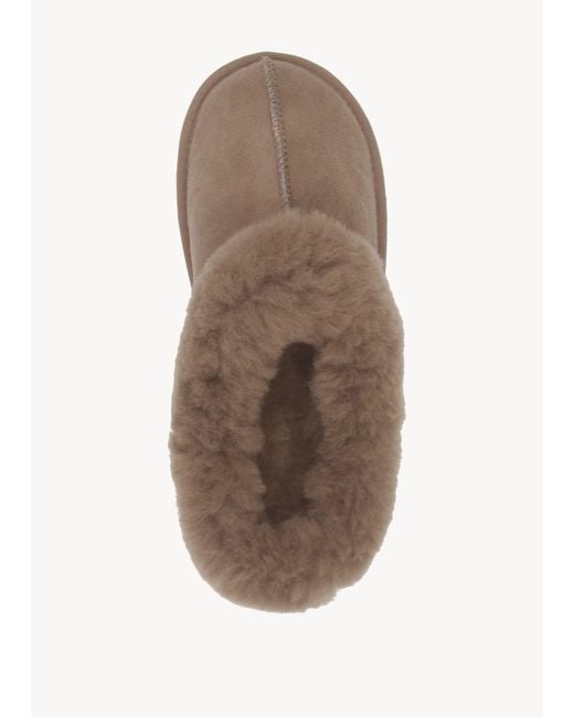 Daniel Brown Somolly Taupe Suede Shearling Slippers