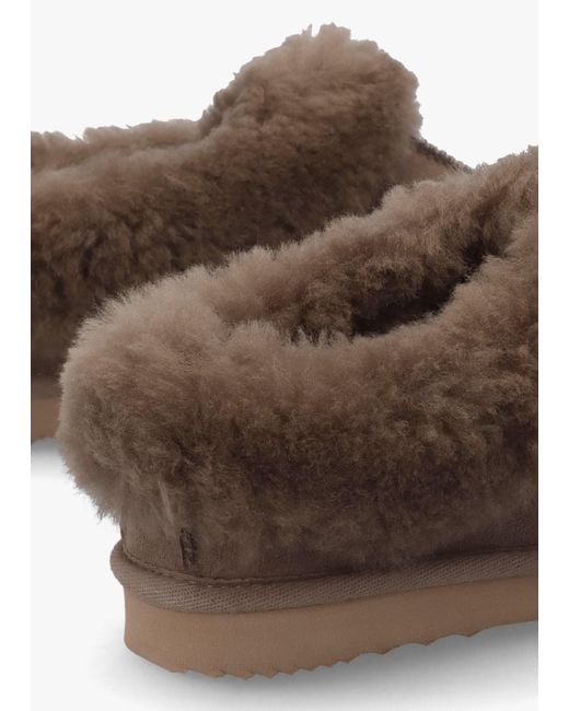 Daniel Brown Somolly Taupe Suede Shearling Slippers