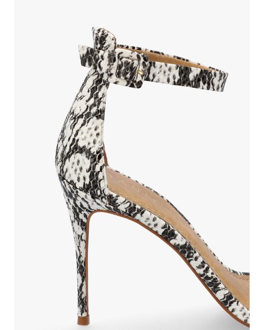 Daniel White Carely Leather Stiletto Heel Sandals
