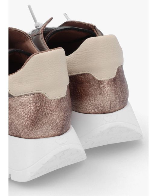 Wonders Brown Odisei 91 Bronze Metallic Leather & Nylon Trainers