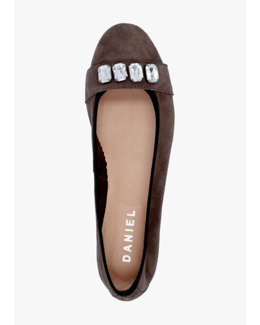 Daniel White Linky Grey Suede Embellished Ballet Pumps