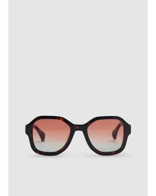 Vivienne Westwood Brown Caria Tort Sunglasses