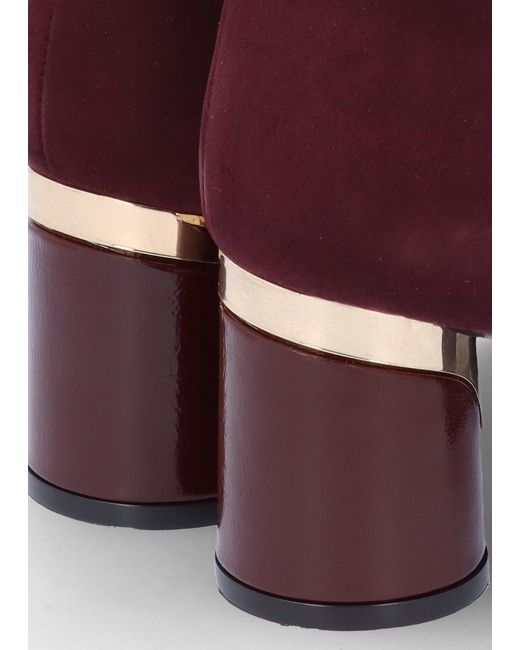 Daniel Purple Penelope Burgundy Suede Gold Trim Heeled Ankle Boots