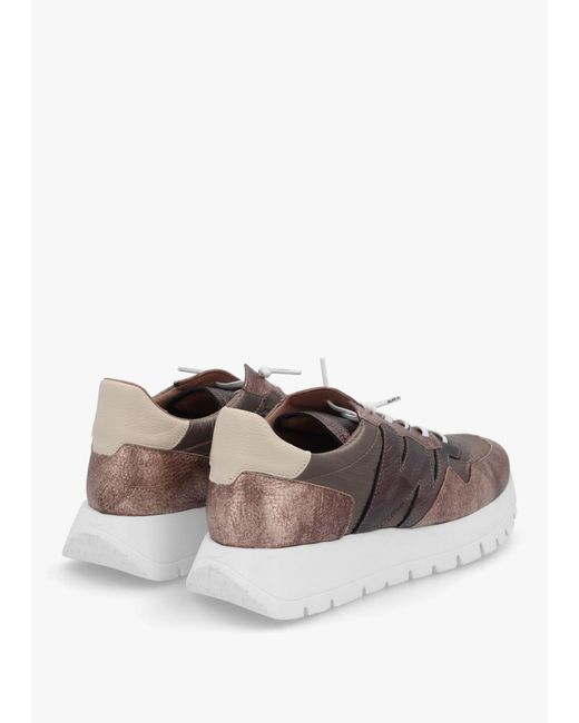 Wonders Brown Odisei 91 Bronze Metallic Leather & Nylon Trainers