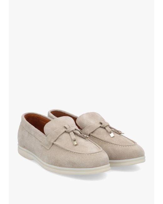 Daniel White Siani Grey Suede Loafers