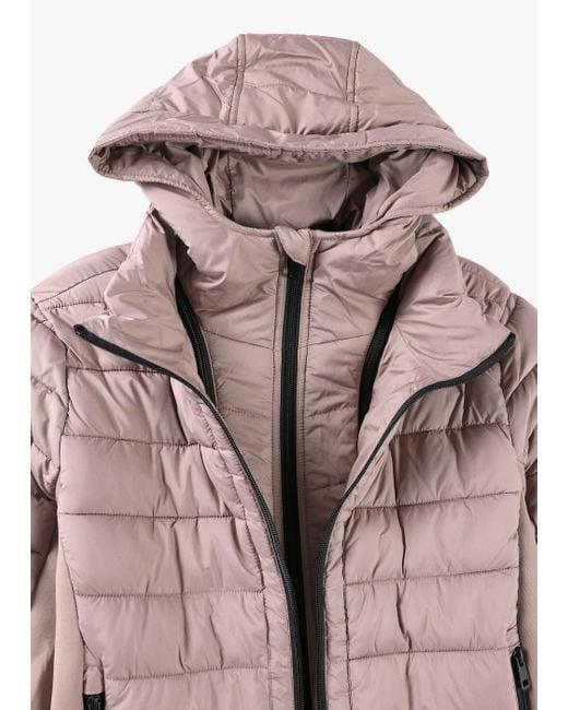 Daniel Footwear Multicolor Quilted Taupe Padded Hooded Jacket