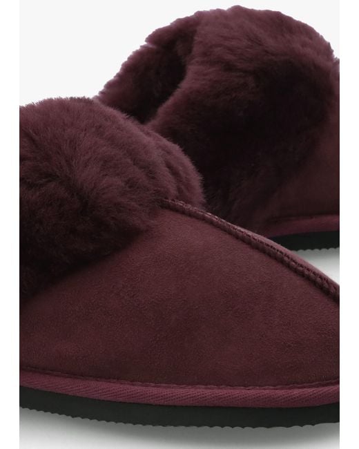 Daniel Red Shut Burgundy Sheepskin Twinface Slippers