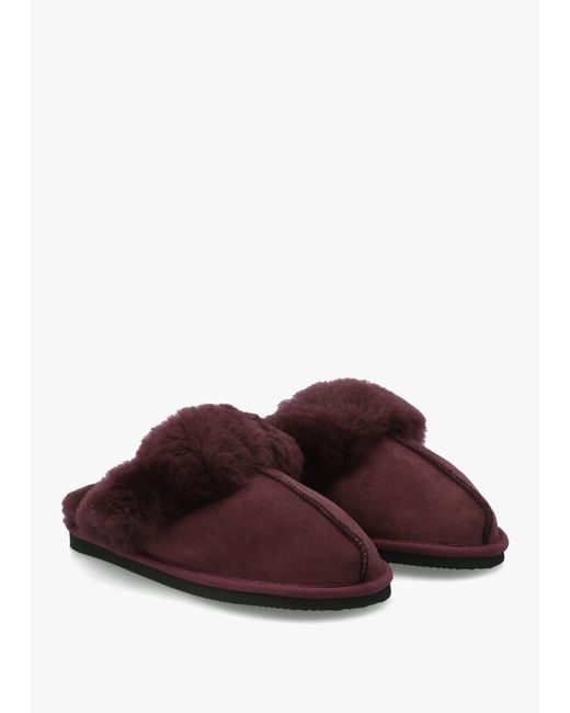 Daniel Red Shut Burgundy Sheepskin Twinface Slippers
