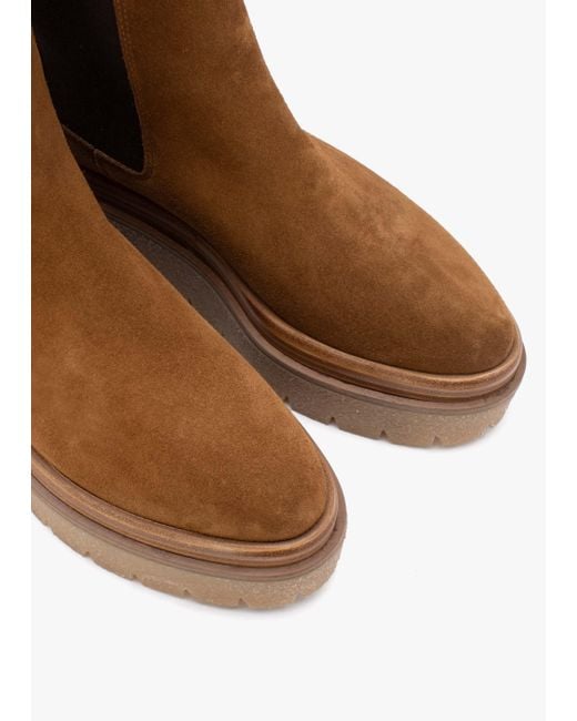Alpe Brown Alpine Tan Suede Tall Chelsea Boots