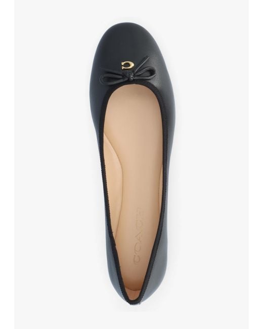 COACH Black Women's Abigail Shoes
