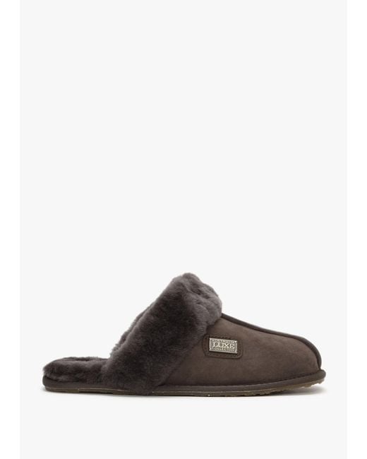 Australia Luxe Brown Double-face Sheepskin Closed Mule Slippers