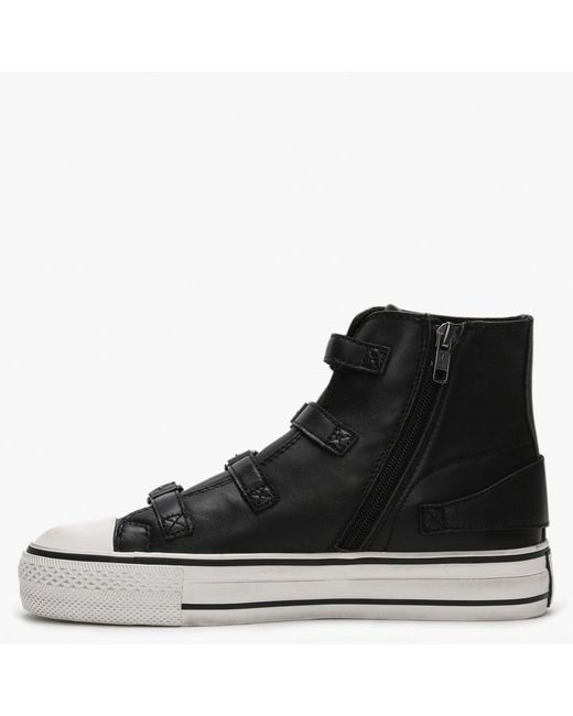 ash virgin high top trainers