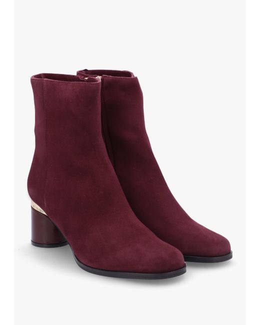 Daniel Purple Penelope Burgundy Suede Gold Trim Heeled Ankle Boots
