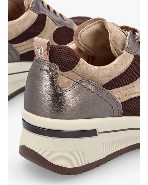 Caprice Brown Multicoloured Leather & Mesh Trainers