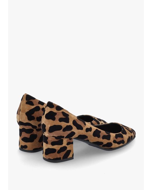 Luca Grossi Brown Leopard Suede Pointed Toe Block Heel Court Shoes