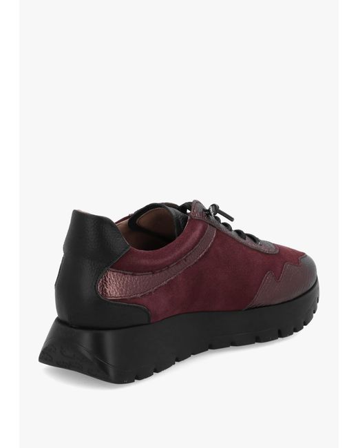 Wonders Brown Odisei 110 Burgundy Metallic Leather & Suede Trainers