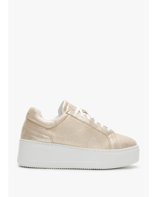 Daniel Natural Sibley Gold Leather Perforated Flatform Trainers