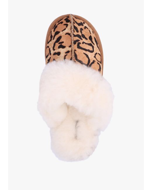 Daniel White Soleo Leopard Calf Hair Sheepskin Twinface Slippers