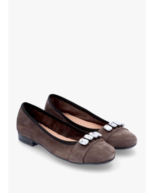 Daniel White Linky Grey Suede Embellished Ballet Pumps