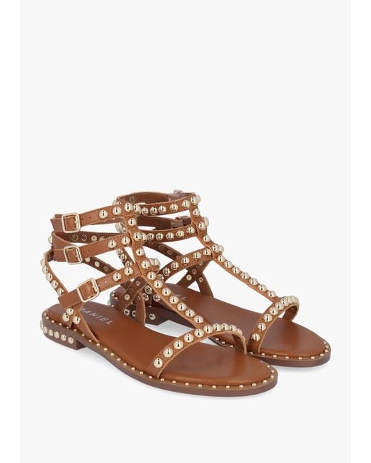 Daniel Brown Eternal Tan Leather Studded Gladiator Sandals