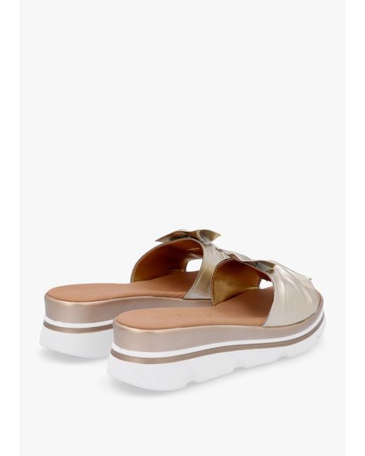 Daniel White Rebow Knot Top Mules