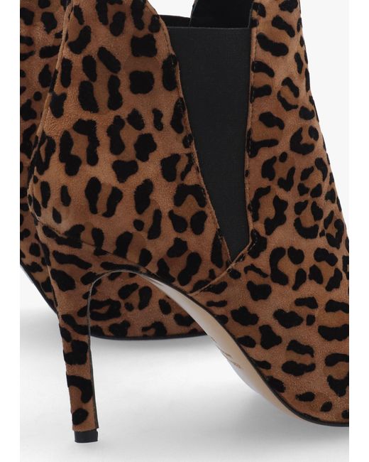 Daniel Brown Adril Suede Leopard Ankle Boots