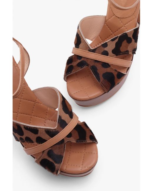 Daniel Brown Darcey Leopard Calf Hair Platform Heeled Sandals