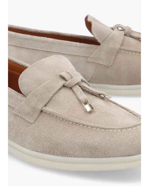 Daniel White Siani Grey Suede Loafers