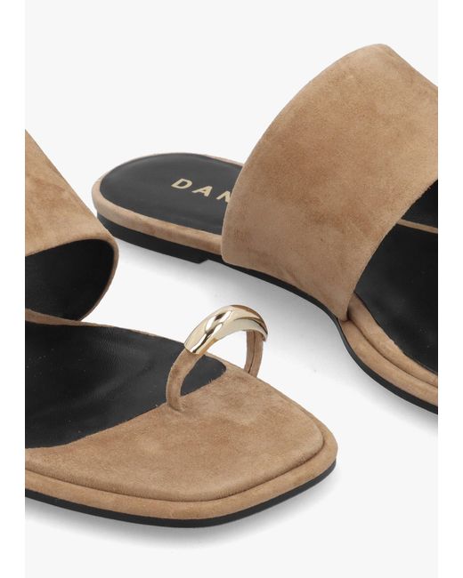 Daniel White Eloop Ring Toe Post Flat Sandals