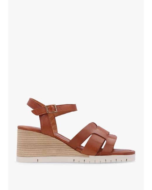 Moda In Pelle Brown Moda