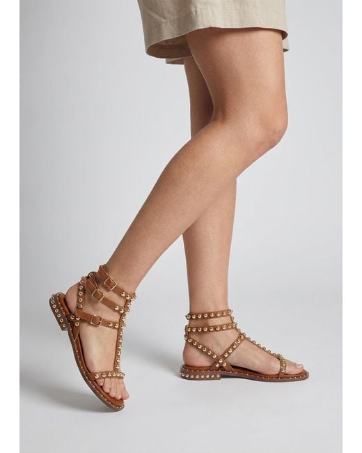 Daniel Brown Eternal Tan Leather Studded Gladiator Sandals