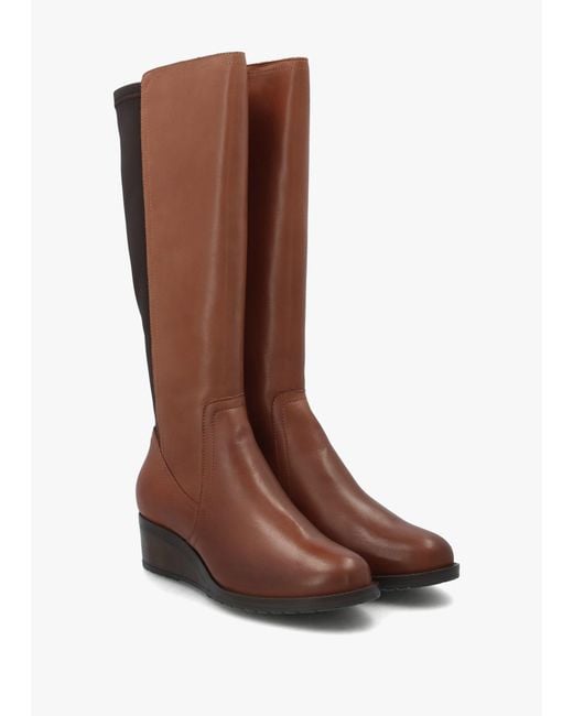 Moda In Pelle Brown Rayna Low Wedge Knee Boots