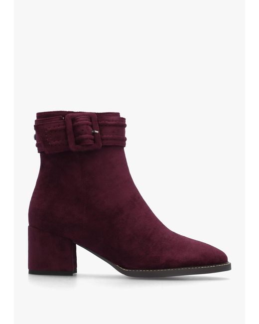 Moda In Pelle Purple Pacina Burgundy Buckle Strap Block Heel Ankle Boots