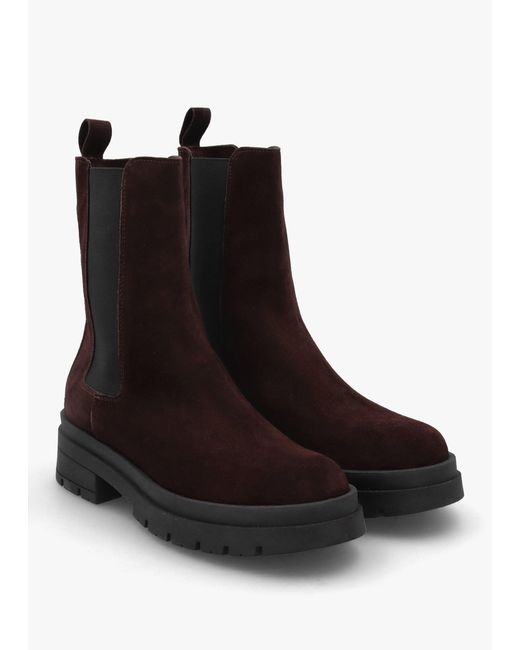 Daniel Black High Shalt Chunky Chelsea Boots