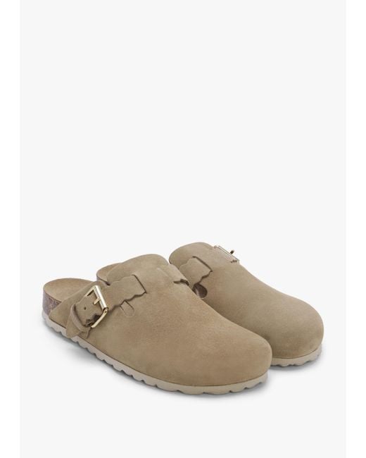 Daniel Natural Iclog Beige Suede Clogs