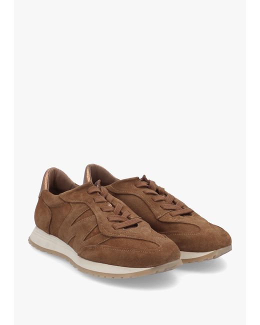 Wonders Brown A-4811 Sporty Trainers